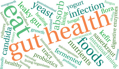 Gut Health Word Cloud On a White Background. 