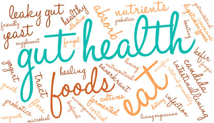 Gut Health Word Cloud On a White Background. 
