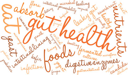 Gut Health Word Cloud On a White Background. 