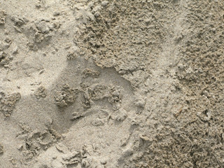 Rainy sand closeup in Falkenberg, Sweden.