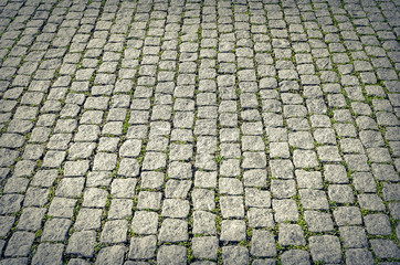 City pavers with grass.