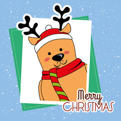 happy merry christmas 