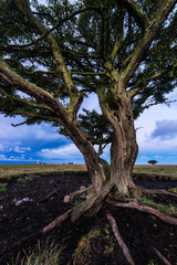 Ottenby Lighthouse © davidhjort