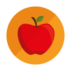 school supplies icon 