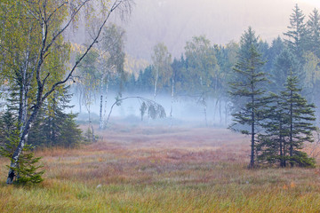 Hochmoor Felbertauern