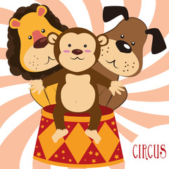 circus entertainment 