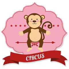 circus entertainment 
