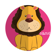 circus entertainment 