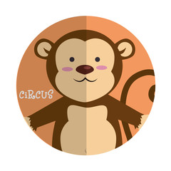 circus entertainment 