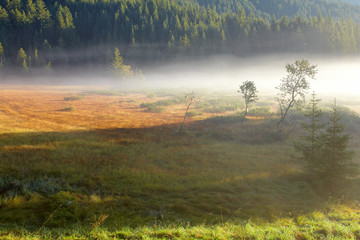 Fototapeta premium Hochmoor Felbertauern