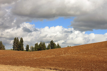 Rolling Farms Fields on a Stormy Day