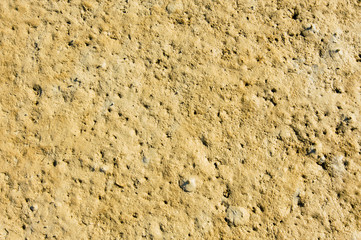 Small crab hold on the wet and become dry beach