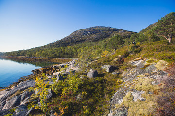 Beautiful vibrant summer norwegian landscape with coast of fjord with a blue sky, blue clear water, norway, norge