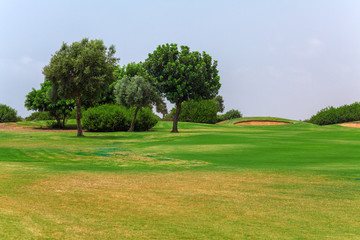 Fototapeta na wymiar Fresh Green of Golf Field