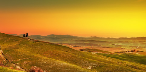 Naklejka na ściany i meble Tuscany, rural sunset landscape panorama and cypress trees. Ital