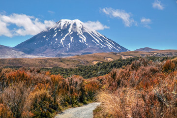 Mount Ngauruhoe im Tongariro Nationalpark - obrazy, fototapety, plakaty