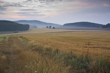 Fototapeta premium Beautiful sunrise over misty meadow and fields