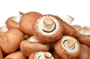 Champignon (True mushroom), isolated on white background