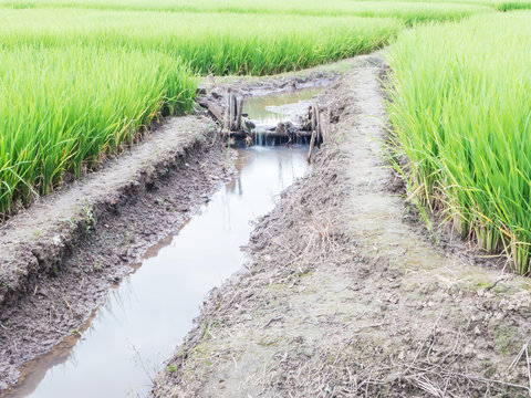 Small Water Dam