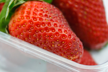 Strawberries in plastic box