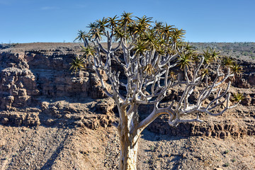 Fish River Canyon -Namibia, Africa