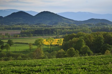 Obraz premium sokole mountains in Poland - Sudety
