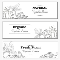 Vector set horizontal banners with draw vegetables