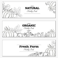 Vector set horizontal banners with draw vegetables