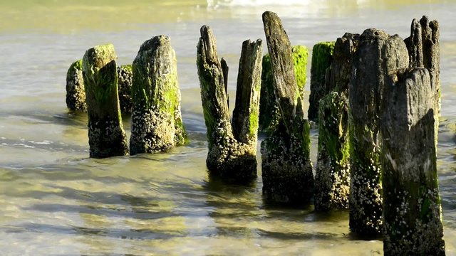  Buhnen am Ostseestrand in Ustka, Polen