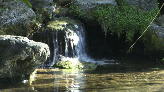 Waterfall 0609: A waterfall flows into a serene pool (Loop).
