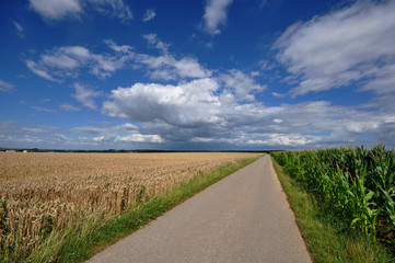 Sommer über den Feldern