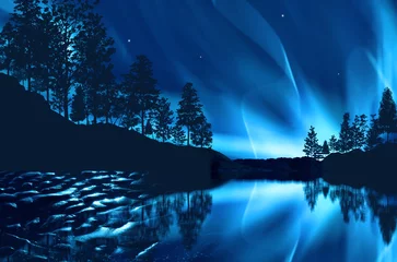 Fototapeten aurora borealis © MR.LIGHTMAN