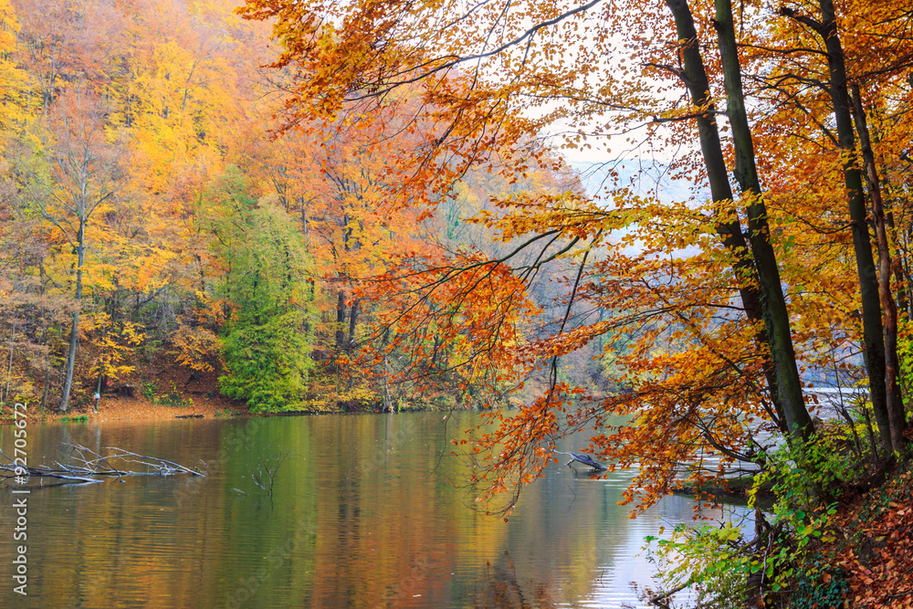 Canvas Prints autumn lake hamori-hungary