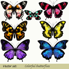 Fototapeta na wymiar Set of realistic vector butterflies for design