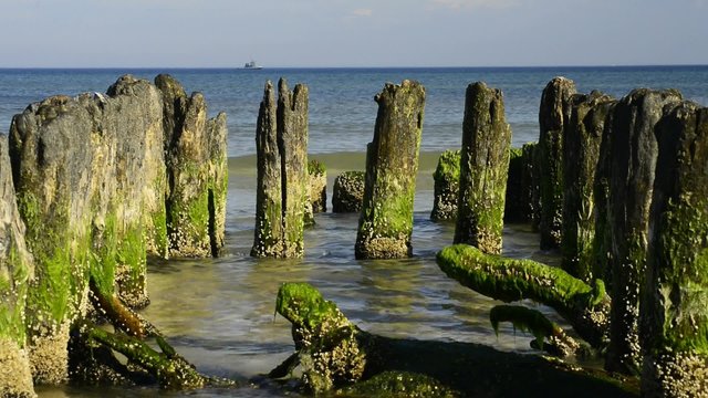  Buhnen am Ostseestrand in Ustka, Polen