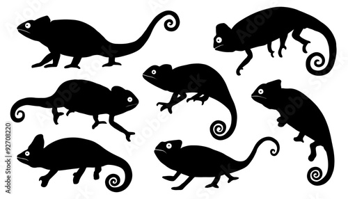 "chameleon silhouettes" Stock image and royalty-free vector files on Fotolia.com - Pic 92708220