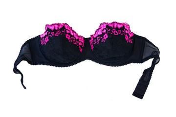 Beautiful female black bra on white