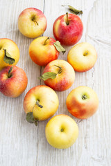Ripe Autumn Apples