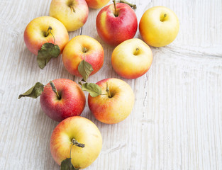 Ripe Autumn Apples