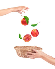 Fototapety na wymiar - Fototapeta24.pl