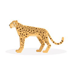 Leopard. Vector Illustration