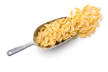 uncooked italian pasta in scoop