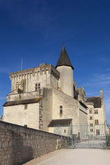 Fototapeta na wymiar Castle of Montsoreau, Maine-et-Loire, Pays de la Loire, France