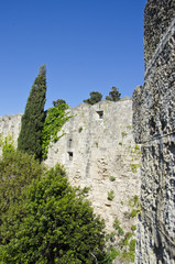 Medieval wall in Greece with trees growing