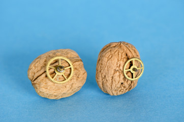 Still life with two walnuts and clock details