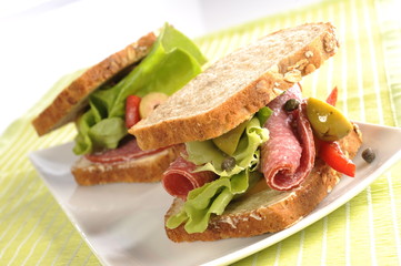 big sandwich with salami and vegetables 