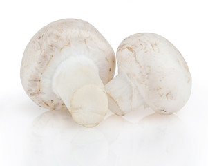 Mushrooms isolated on white background with clipping path