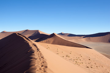 Fototapeta na wymiar Deserto della Namibia, dune