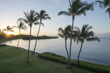 Obraz premium Pukoo beache and palm trees and Sunrise, Molokai, Hawaii