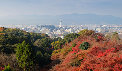 Kyoto City with autumn season in Japan from Kiyomizu Temple.